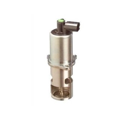Vanna egr 1.9 dci